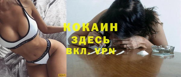 гидра Гусь-Хрустальный