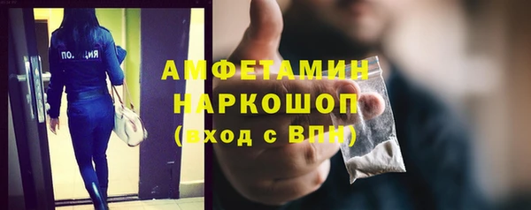 гидра Гусь-Хрустальный