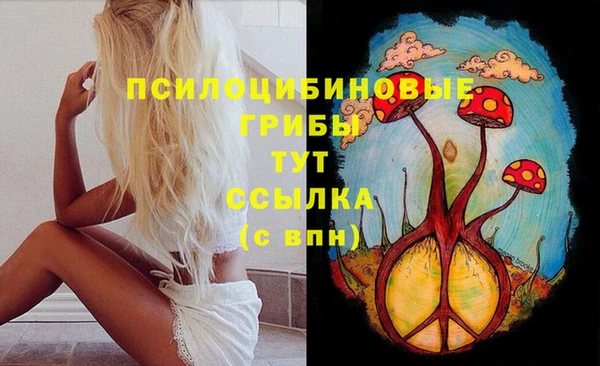 гидра Гусь-Хрустальный