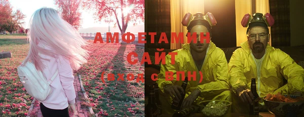 гидра Гусь-Хрустальный