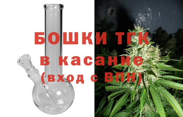 молекула духа Гусев