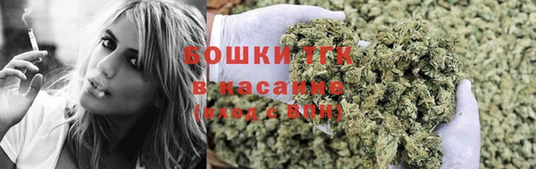 молекула духа Гусев