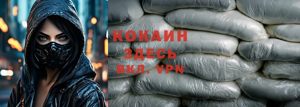 молекула духа Гусев