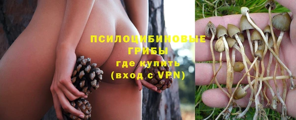 гидра Гусь-Хрустальный
