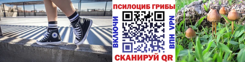 Купить закладки Кумертау Псилоцибиновые грибы мухоморы